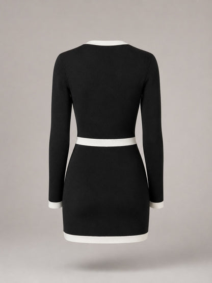 Knit Long Sleeve Mini Sweater Dress